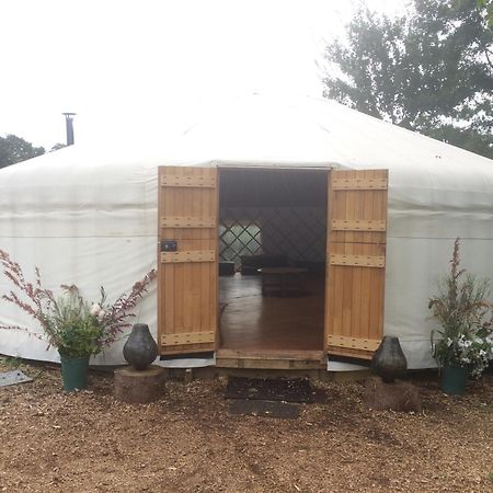 Silver Airstream Glamping & Rental Chichester Exterior foto