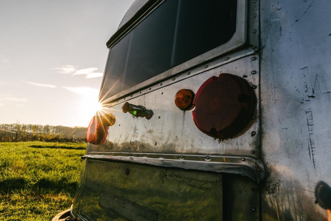Silver Airstream Glamping & Rental Chichester Exterior foto