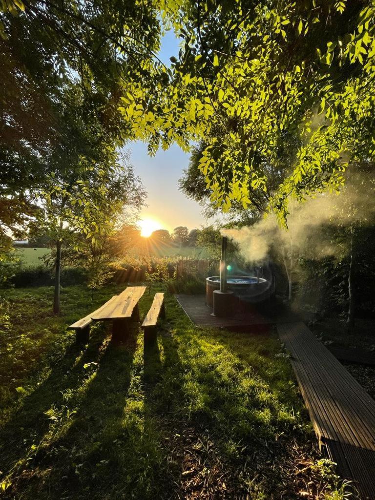 Silver Airstream Glamping & Rental Chichester Exterior foto